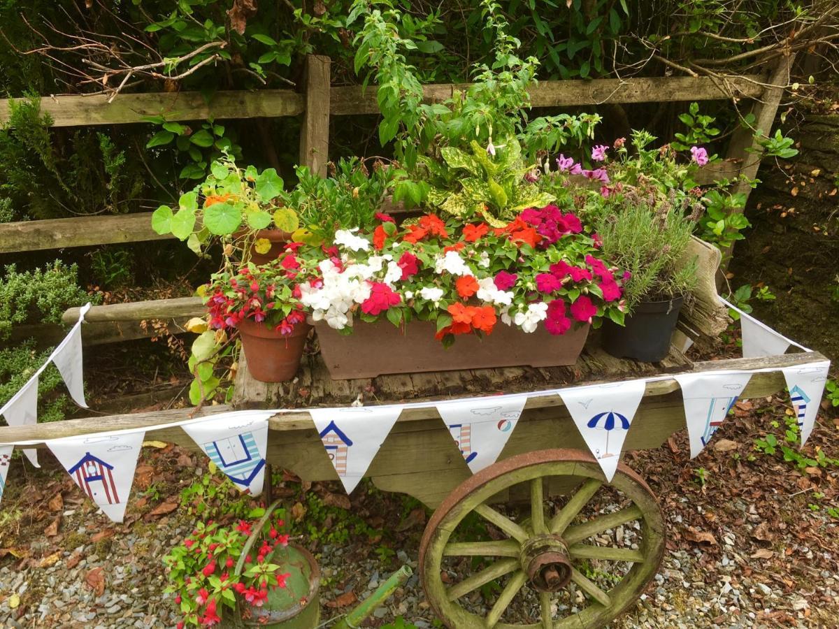 Guest house Culloden Camelford