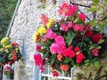 Guest house Culloden 4*
